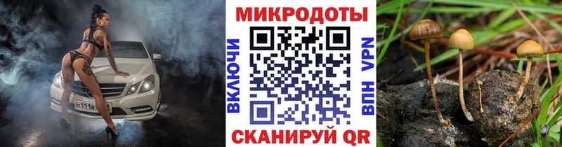 Галлюциногенные грибы мицелий  Сураж 